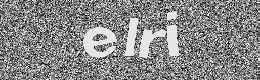 Verification image