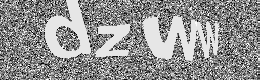 Verification image
