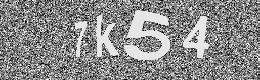 Verification image
