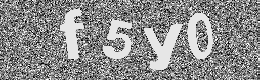 Verification image