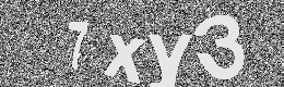 Verification image