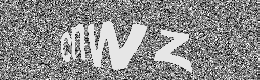 Verification image