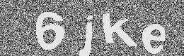 Verification image
